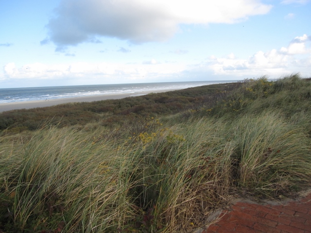 Juist de duinen